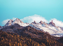 开云体育-樊振东德甲赛场迎首胜